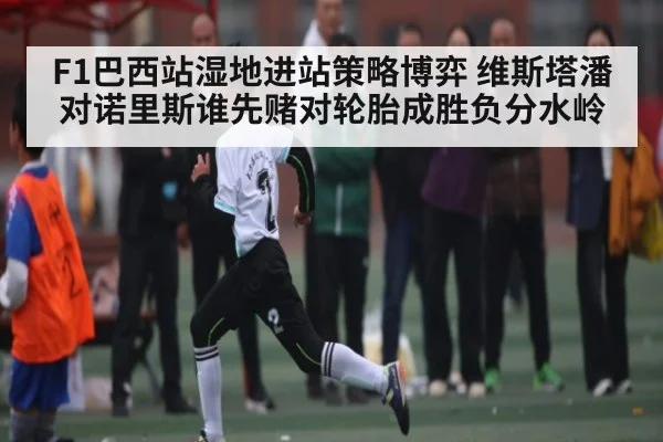 F1巴西站湿地进站策略博弈 维斯塔潘对诺里斯谁先赌对轮胎成胜负分水岭
